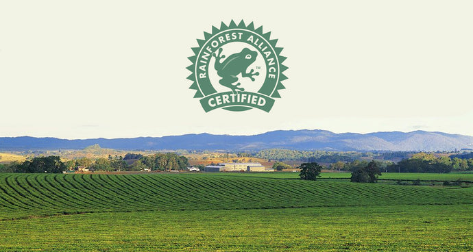 Nerada Tea proudly Rainforest Alliance Certified